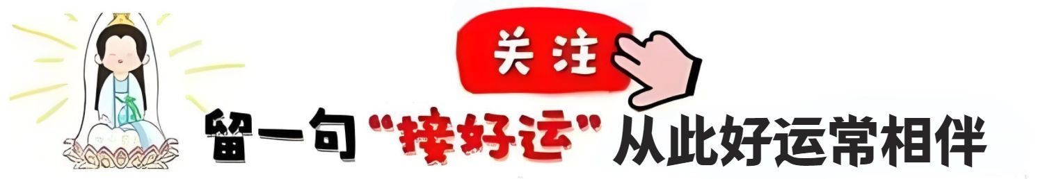 95年属什么的，十猪九苦命，1995年属猪人的晚年命运，31 岁后什么命？(图15)