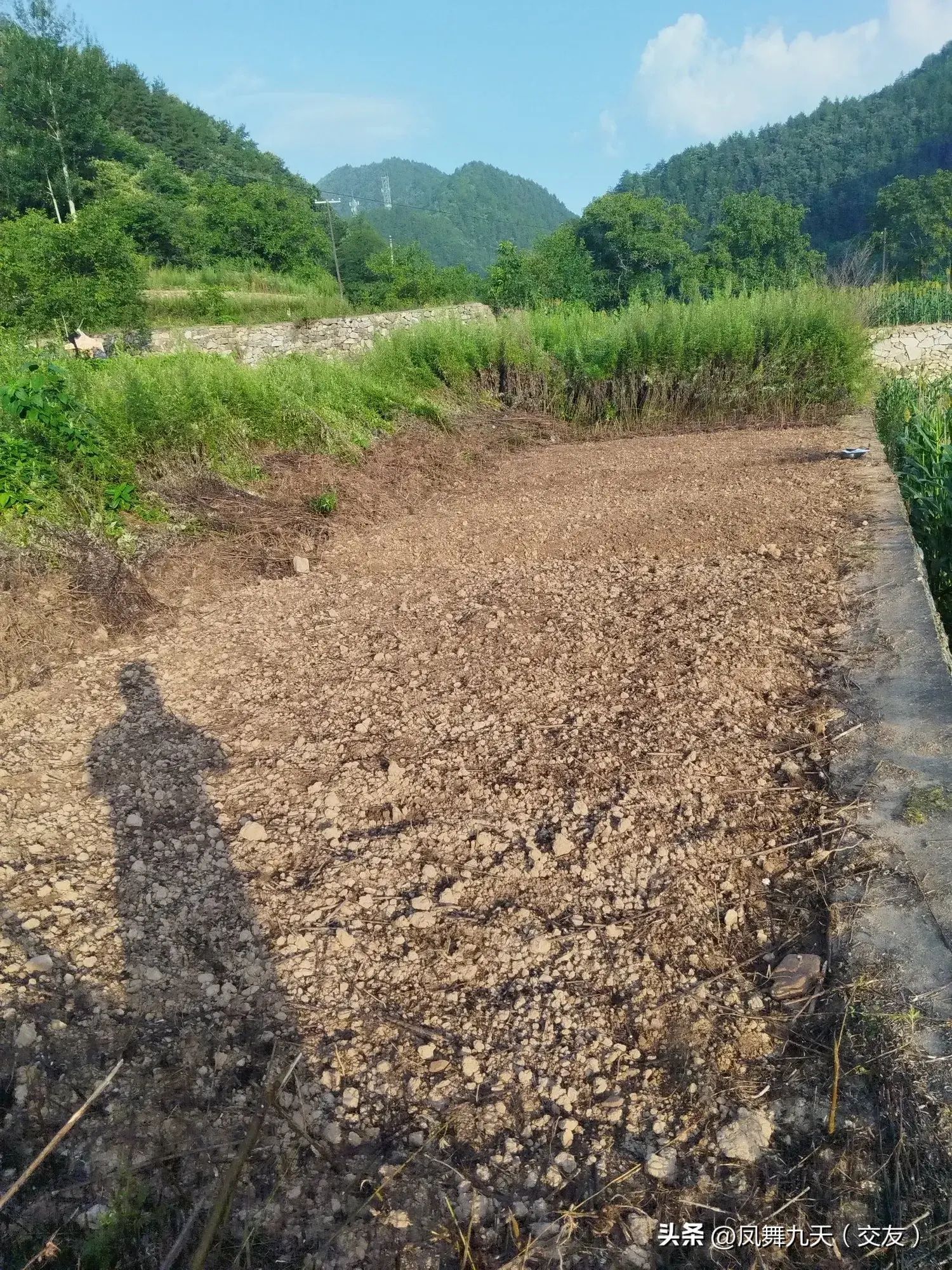 梦到丢东西是什么意思，不同文化背景下，做梦丢失贵重物品的寓意可能存在差异(图3)