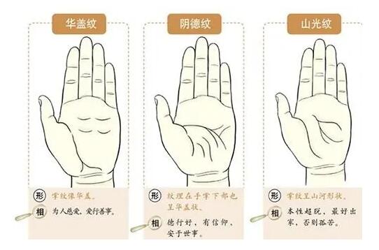 《掌纹相医学系统课》太冲老师主讲