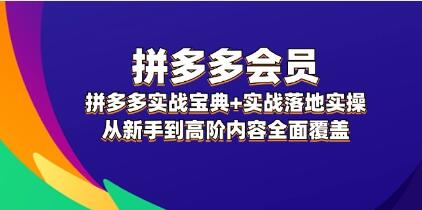 《拼多多实战宝典》实战落地实操