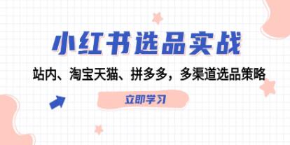 《小红书选品实战》站内淘宝天猫、拼多多，多渠道选品策略