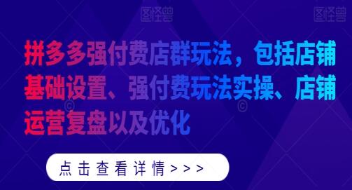 《拼多多强付费店群玩法》店铺运营复盘以及优化