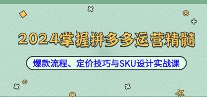 《掌握拼多多运营精髓》爆款流程、定价技巧